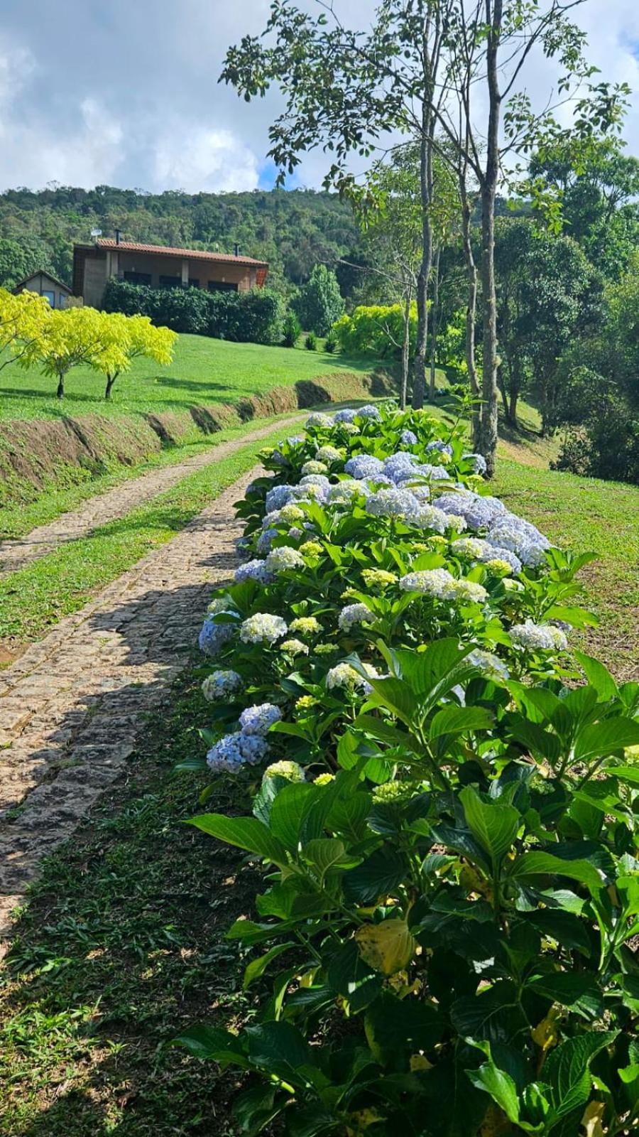 Chales Boa Vista Villa Gonçalves Екстериор снимка